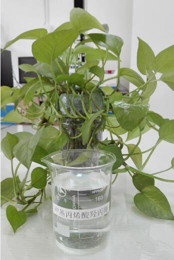 甲基丙烯酸羟丙酯批发